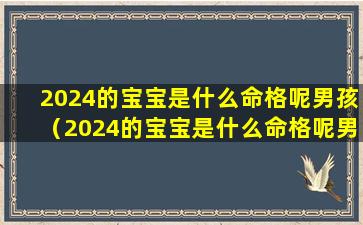 2024的宝宝是什么命格呢男孩（2024的宝宝是什么命格呢男孩还是女孩 🐝 ）